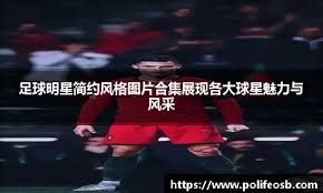 球嗅觉与反