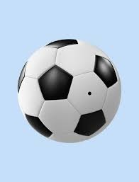 9连胜遭终结后战广东宏远 上海主帅：洛夫顿轮休